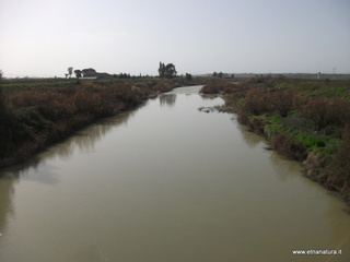 lle del Simeto-24-02-2013 10-03-59